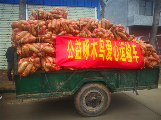 ＂愛心蘿卜＂來了！