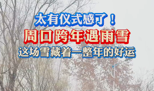 太有儀式感了！周口跨年遇雨雪 這場雪藏著一整年的好運
